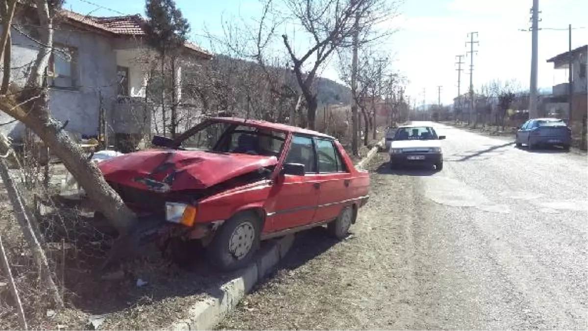 Elektrikli Bisiklete Çarpmamak İçin Ağaca Çarpan Sürücü Yaralandı