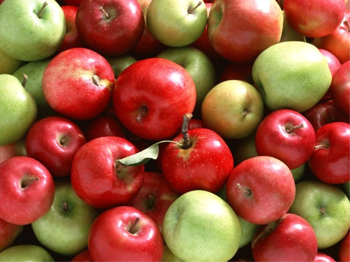Antalya Yılda 500 Bin Ton Elma Çöpe Gidiyor