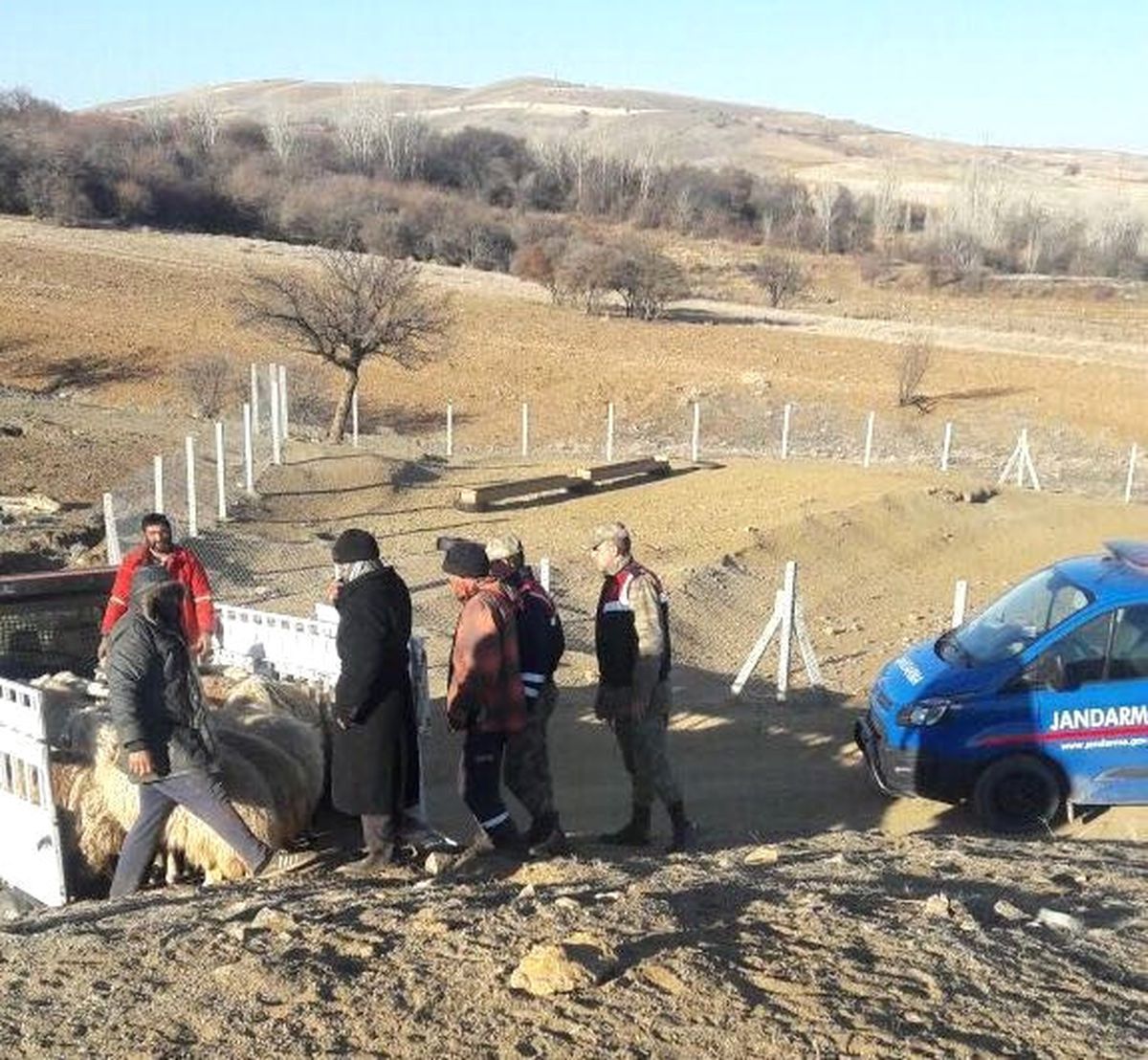 Elazığ\'da Koyun Çalan Hırsızlar Yakalandı