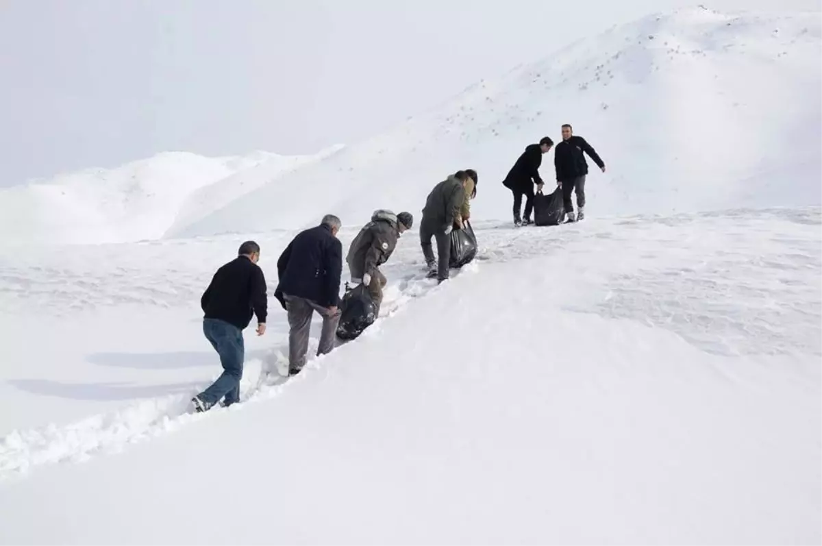 Bitlis\'te Yaban Hayvanlarına Yem Desteği