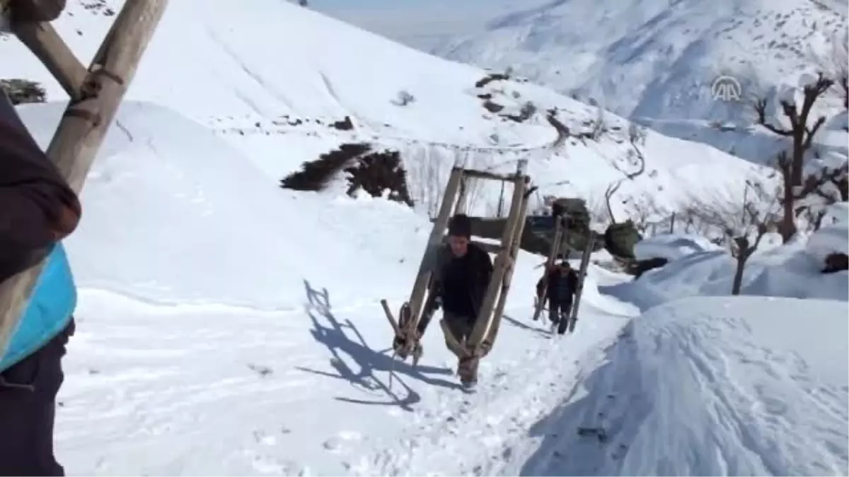 Hayvanların Yemini Kızakla Taşıyorlar