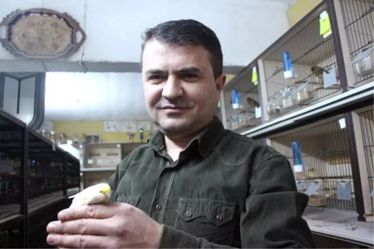Kanarya Tutkusu ile Kötü Alışkanlıklardan Kurtuldu