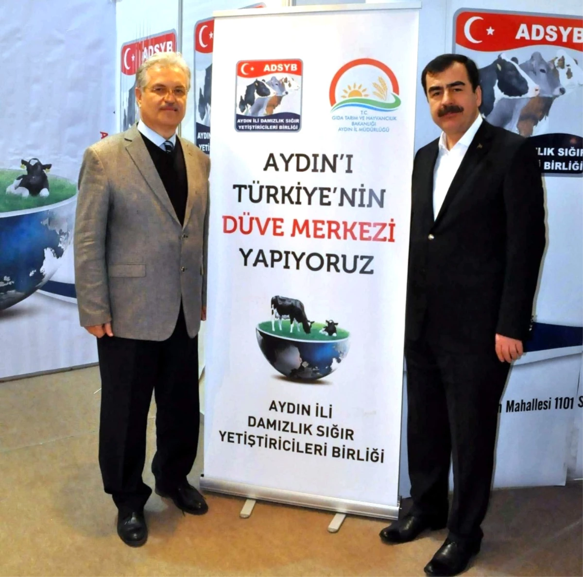 Aydın\'a Damızlık Düve Yetiştiriciliği Merkezi Kurulacak