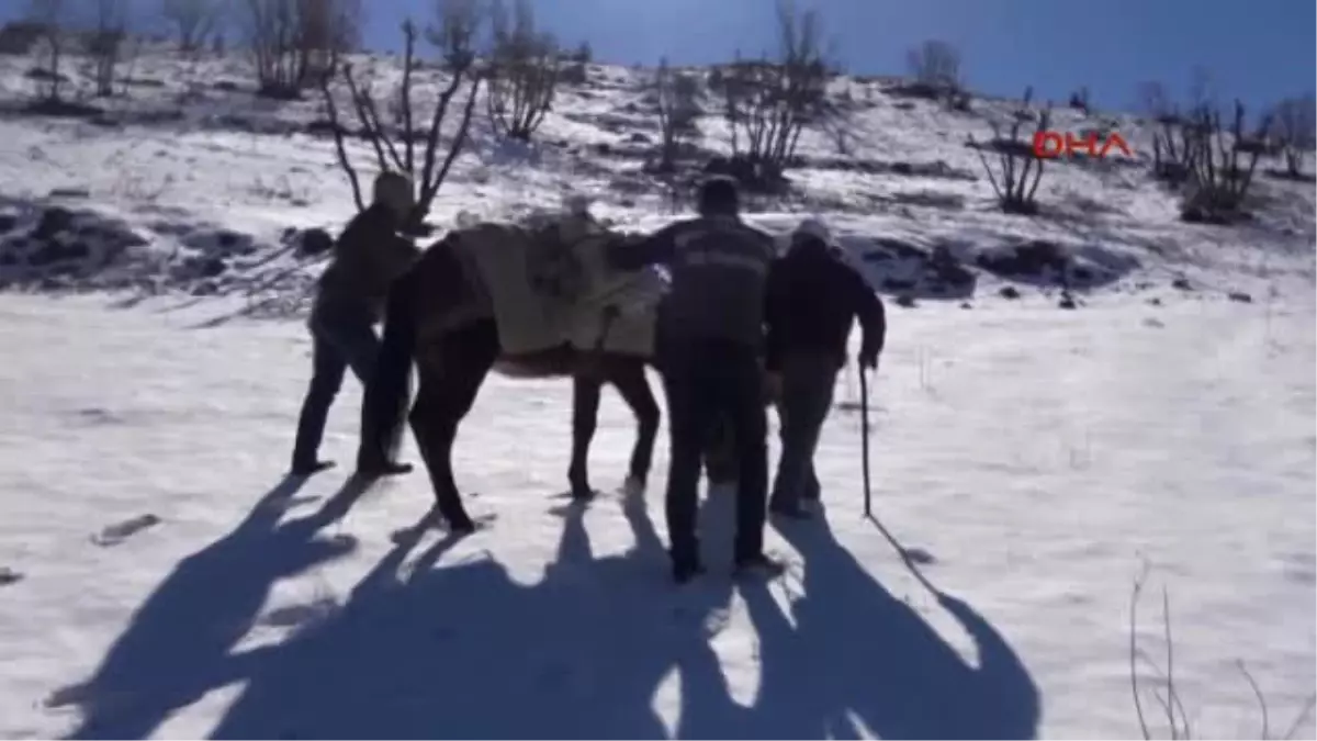 Siirt\'te Yaban Hayvanları Için Kasaptan Et Alıp, Doğaya Bıraktılar