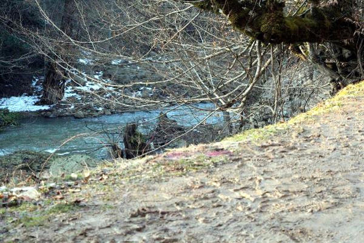 Taksi Şoförü Tabanca ile Öldürüldü (2)