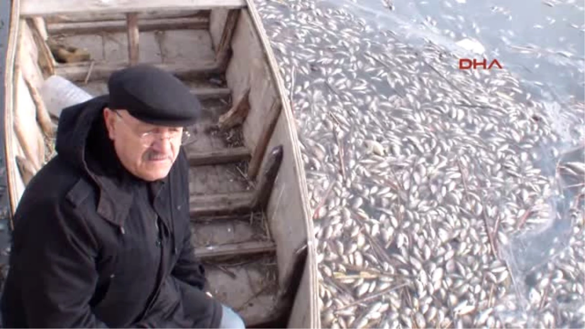 Afyonkarahisar Eber\'de Toplu Balık Ölümleri