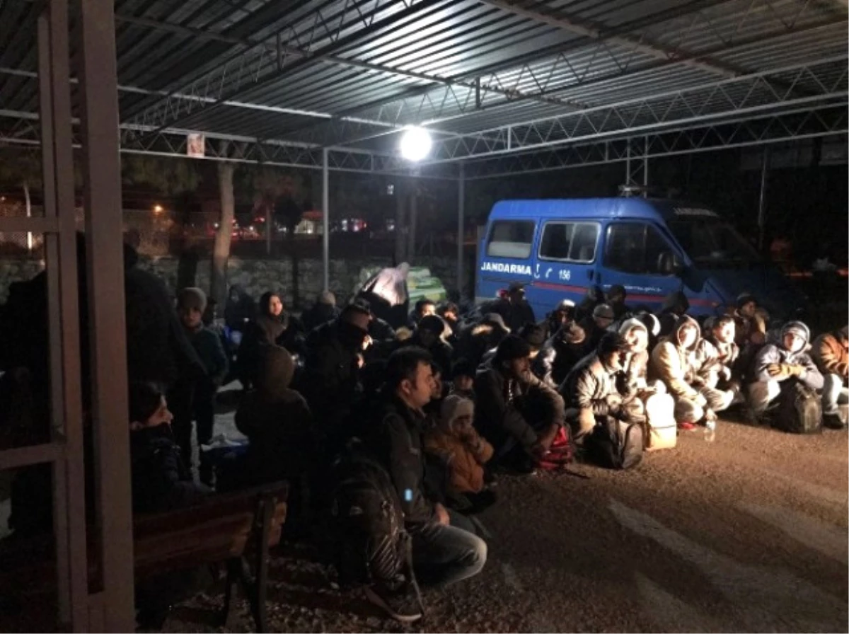 Aydın\'da 20 Kaçak Göçmen Yakalandı