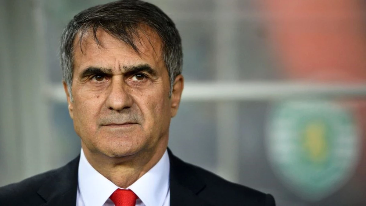 Beşiktaş Teknik Direktörü Güneş\'e Aa 2016 Yıllığı