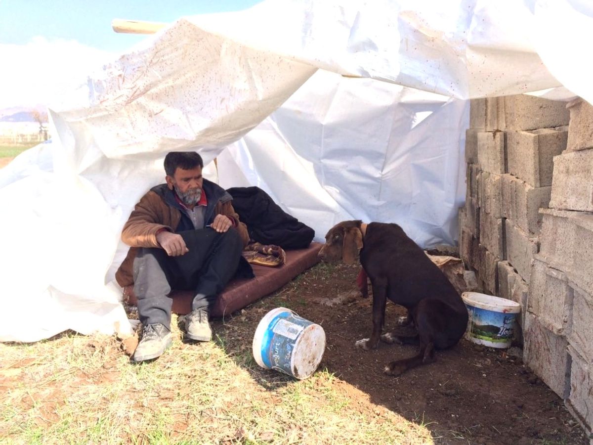 Kış Günü Köpekleriyle Dışarıda Yaşıyor