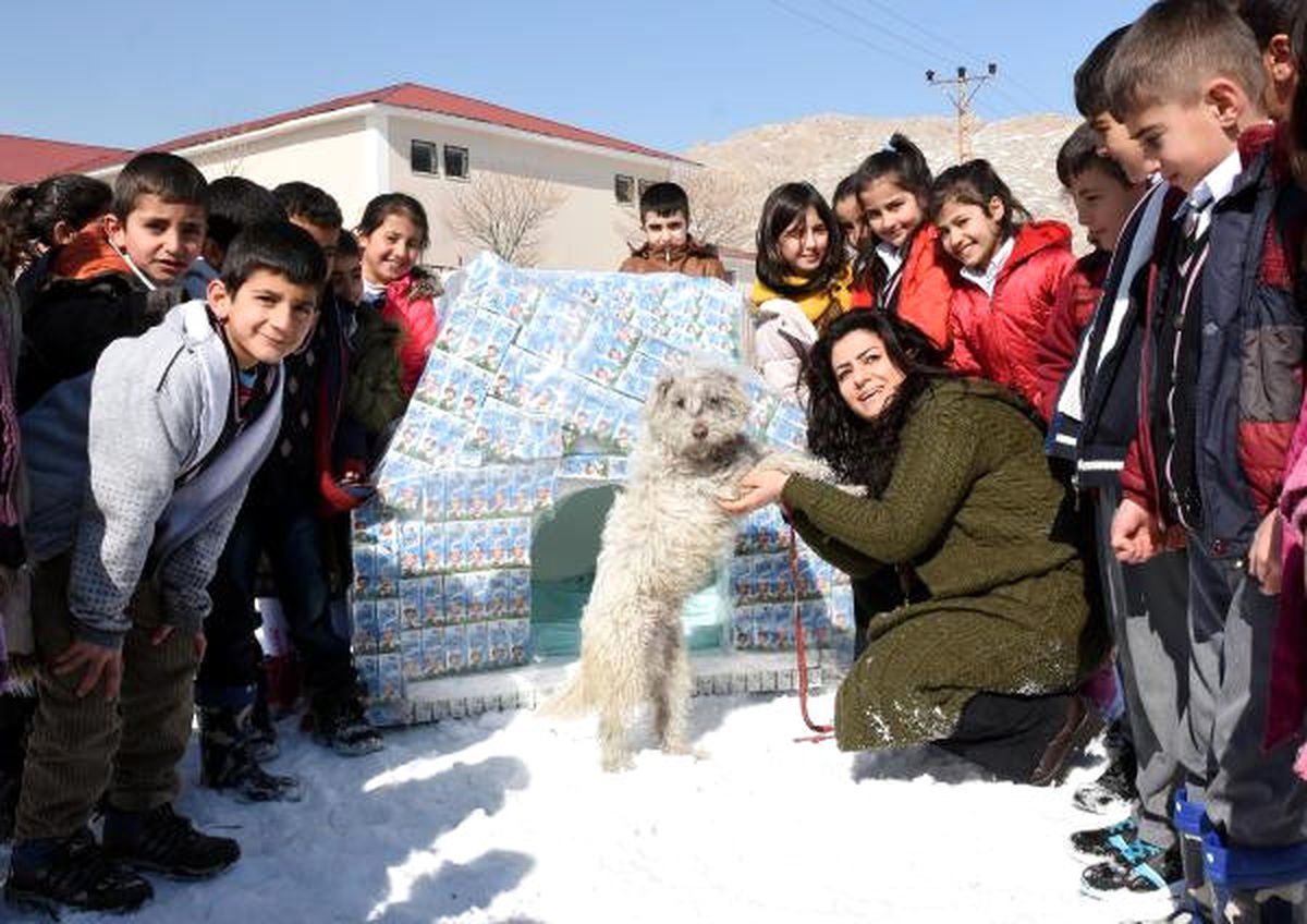 Öğrenciler İçtikleri Okul Sütü Kutularından Köpek Kulübesi Yaptı