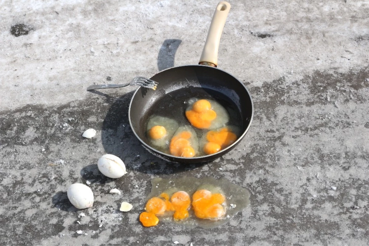 Ağrı\'daki Dondurucu Soğuk Yumurtaları\'da Vurdu