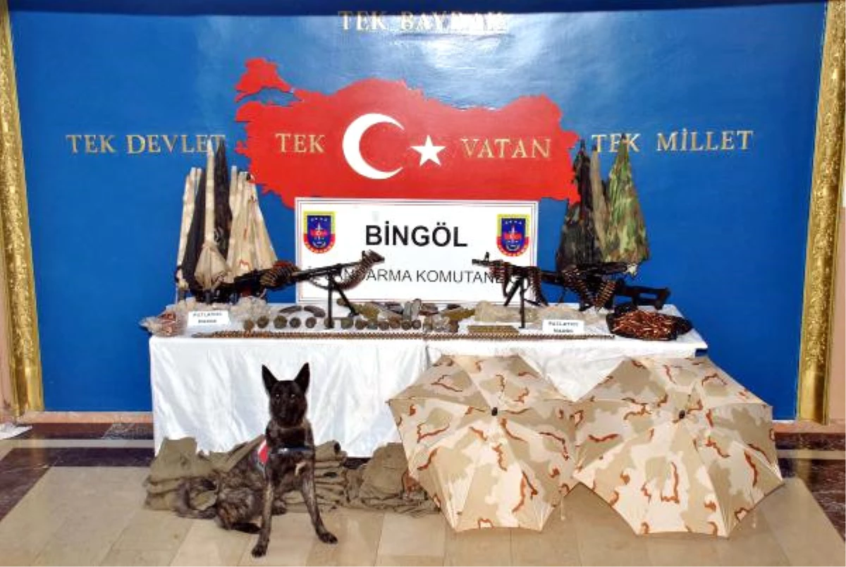 Bingöl\'de PKK Cephaneliği Bulundu