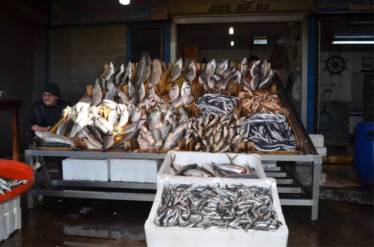 Hamsi Fiyatları Rekor Kırdı