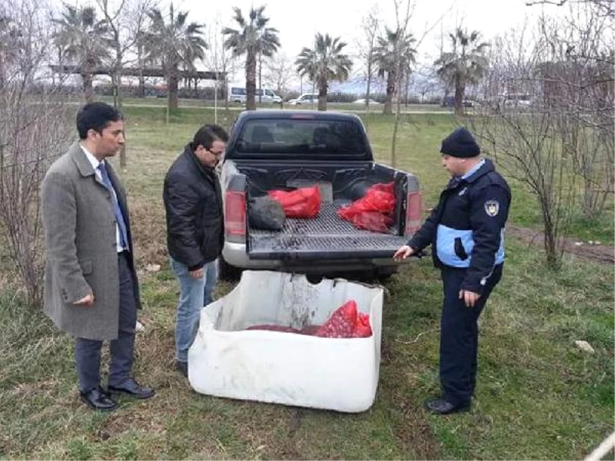 İzmit\'te 3 Bin 550 Kilo Midyeye El Kondu