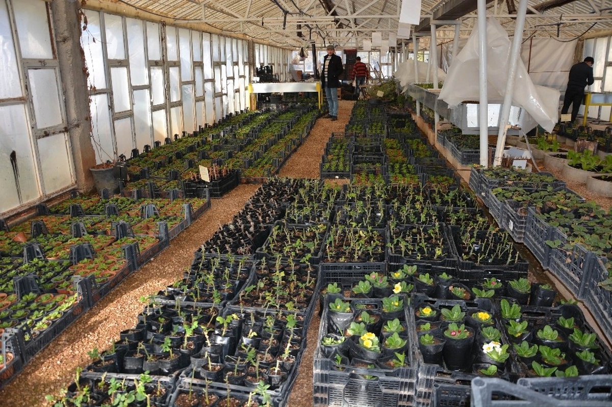 Kilis, Belediye Serası ile Yeşilleniyor