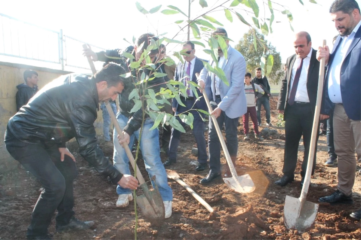 Silopi\'de Köy Okulunda Ağaç Dikme Etkinliği