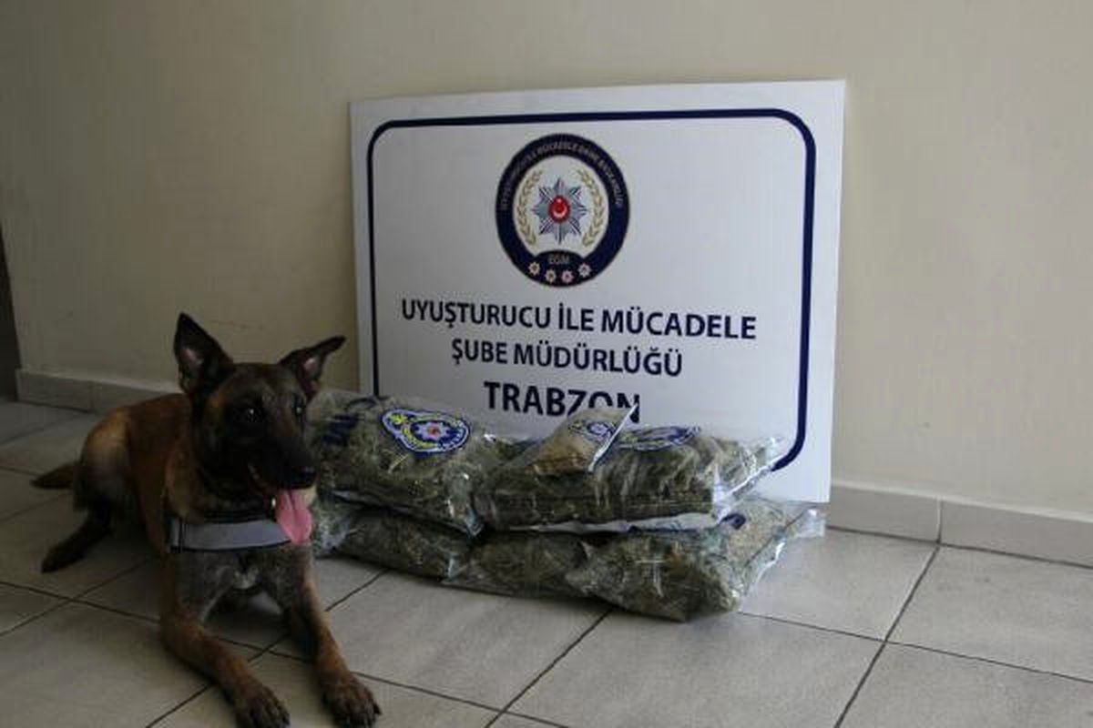 Trabzon\'da Uyuşturucu Operasyonu: 1 Gözaltı