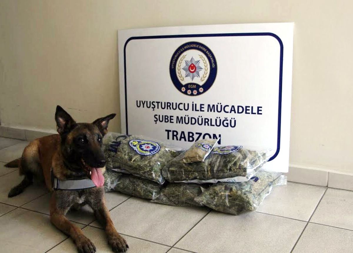 Trabzon\'da Uyuşturucu Operasyonu
