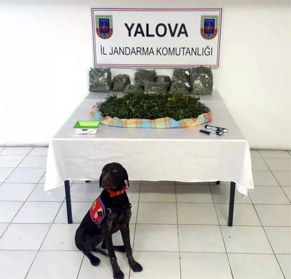 Yalova\'da "Skunk" Adlı Yeni Nesil Uyuşturucu Ele Geçirildi