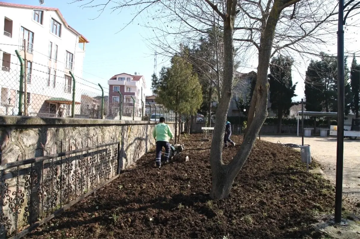 Başiskele\'de Camilere Peyzaj Çalışması