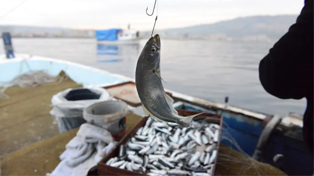 Boğazda "Ekmek Parası" Mücadelesi