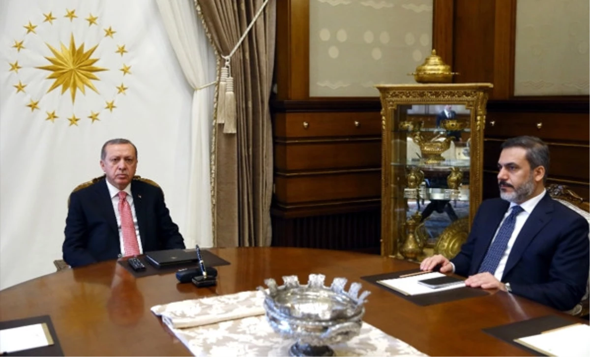 Erdoğan- Fidan Görüşmesinde Cumhurbaşkanlığı Sistemi Konuşuldu
