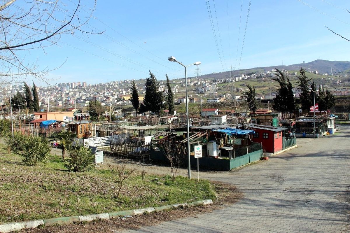 Hobi Bahçesi Piknik Alanı Olacak