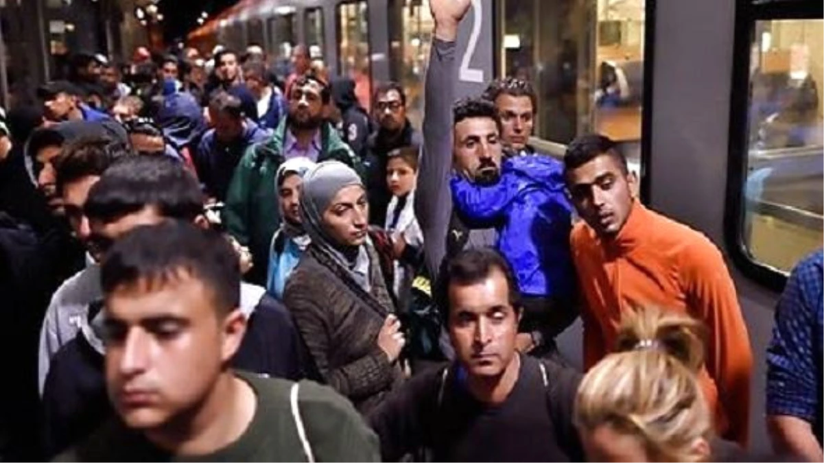 İsveç 54 Tunuslu Mülteciyi Geri Gönderdi