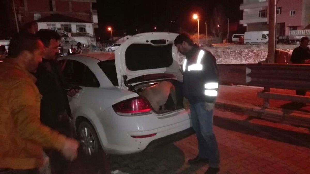 Kovancılar İlçesinde Jandarma ve Polisten Denetim
