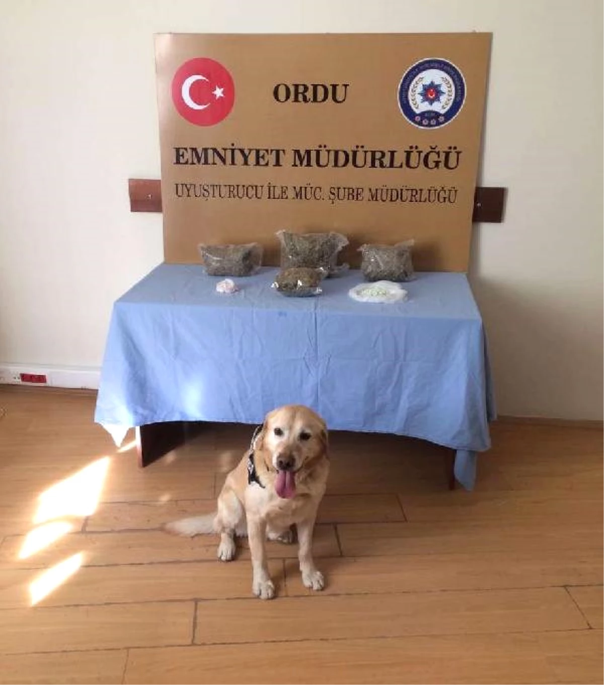 Narkotik Köpeği \'Vasil\' Esrar ve Uyuşturucu Buldu