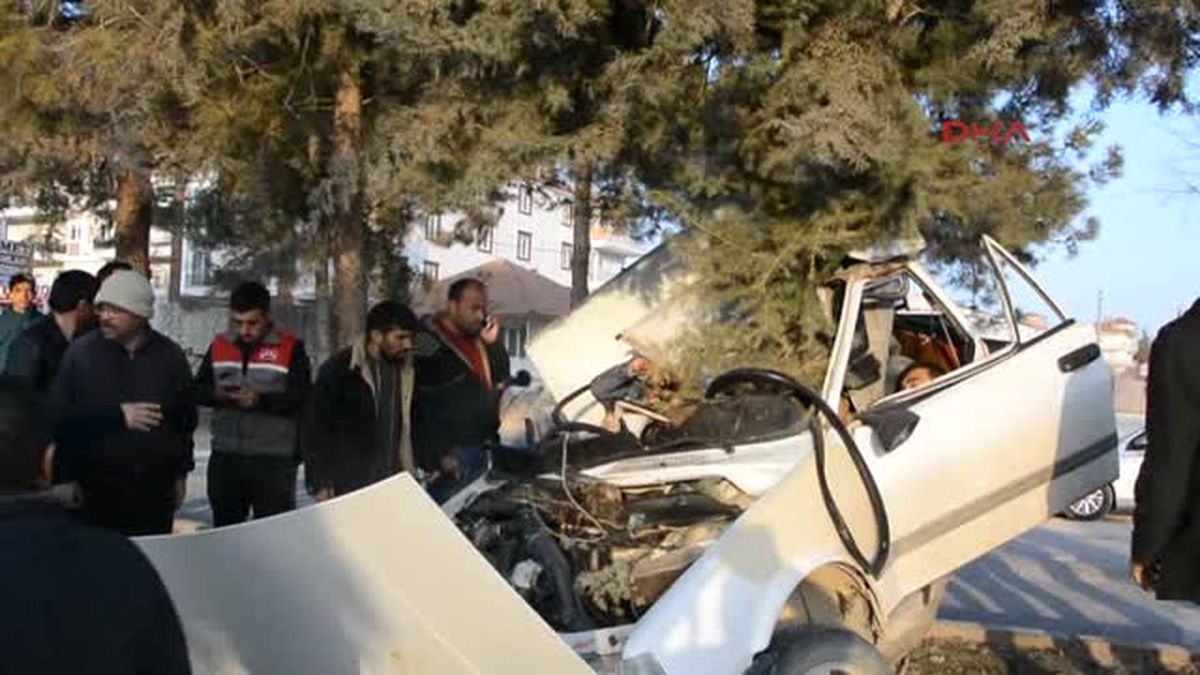 Ağaca Çarpan Otomobildeki 1 Kişi Öldü, 2 Kişi Yaralandı