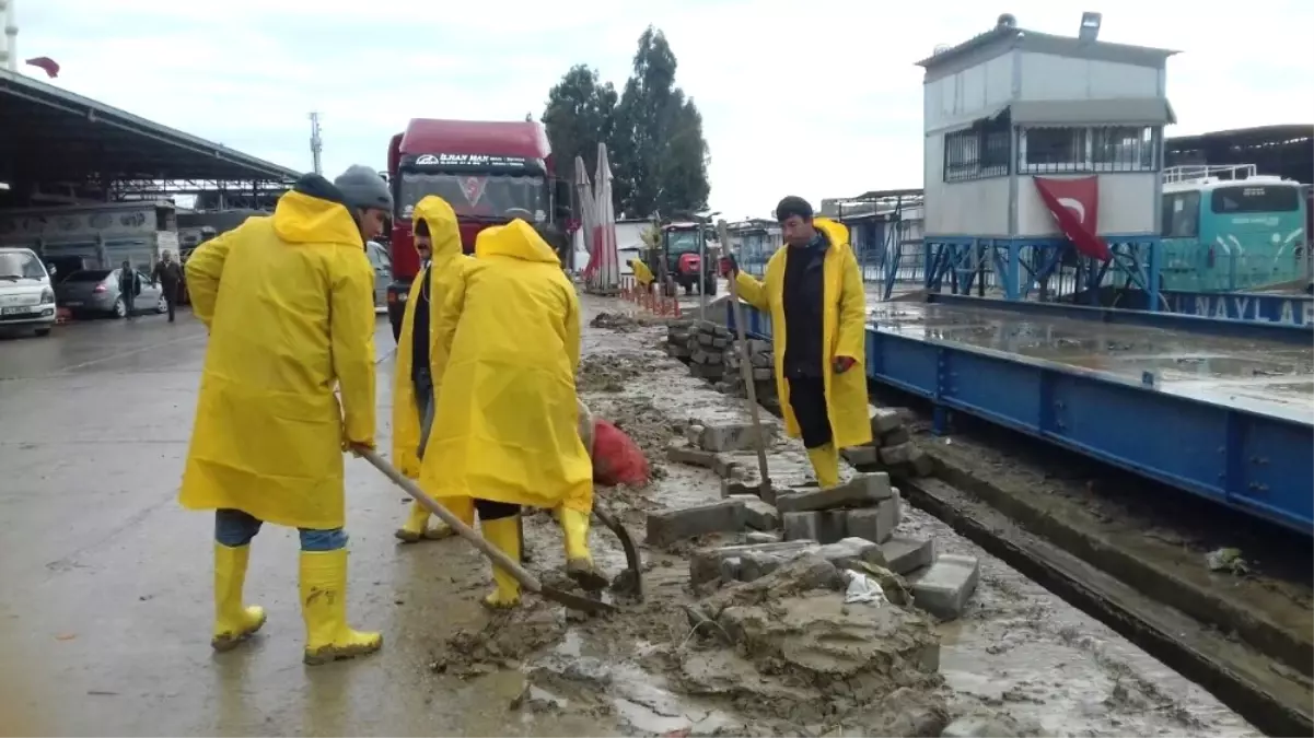 Büyükşehir Belediyesi, Hal Kompleksi\'nde Çalışmalarını Sürdürüyor