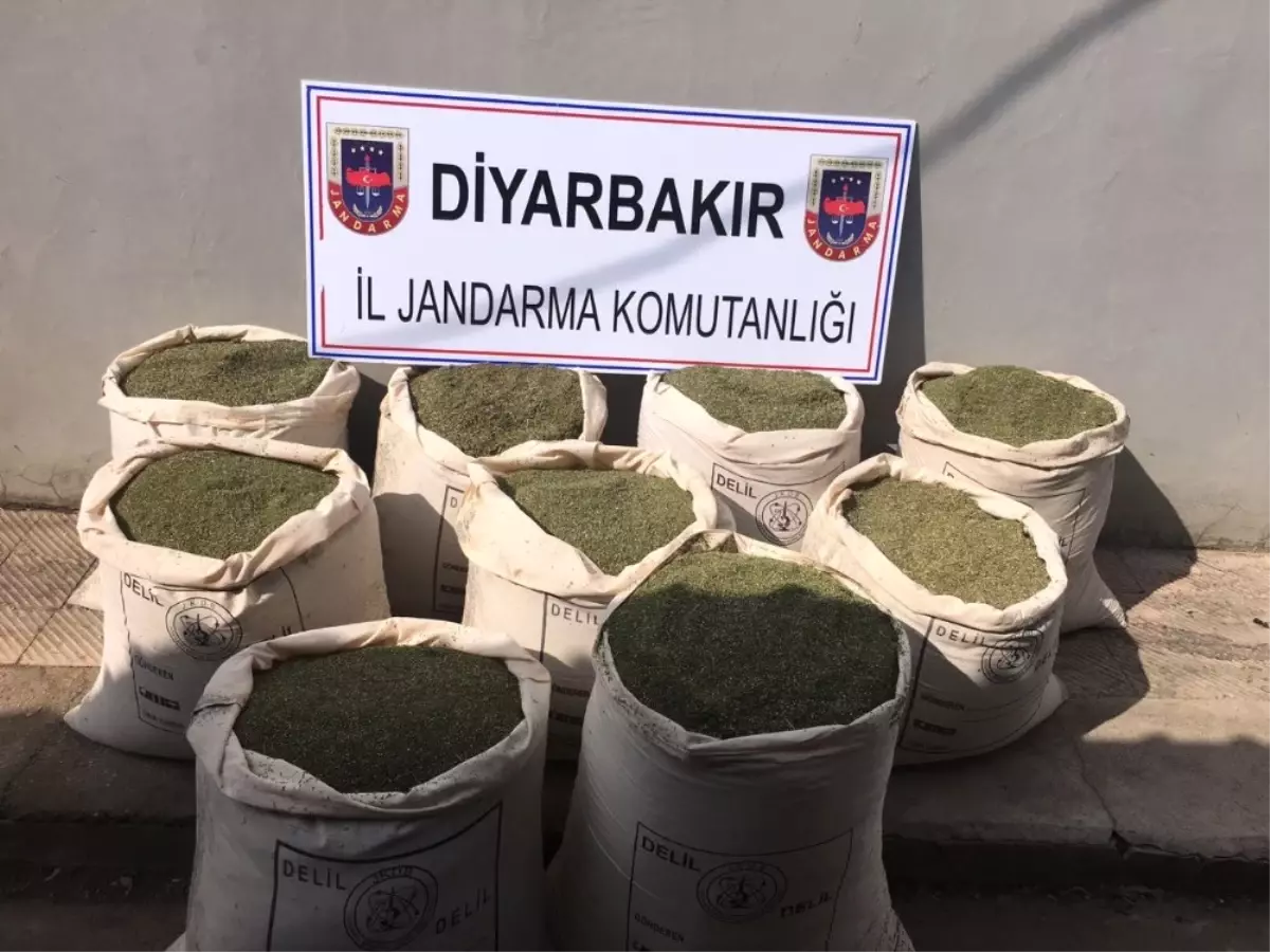 Diyarbakır\'da Teröre Darbe