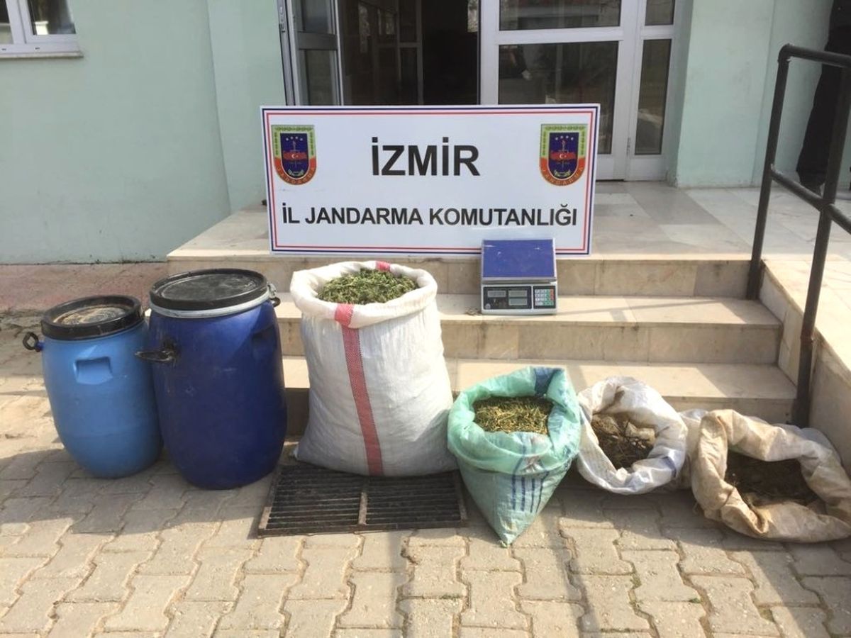 İzmir\'de 13 Kilogram Esrar Ele Geçirildi