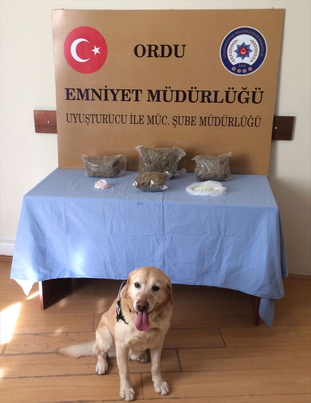 Ordu\'daki Uyuşturucu Operasyonu