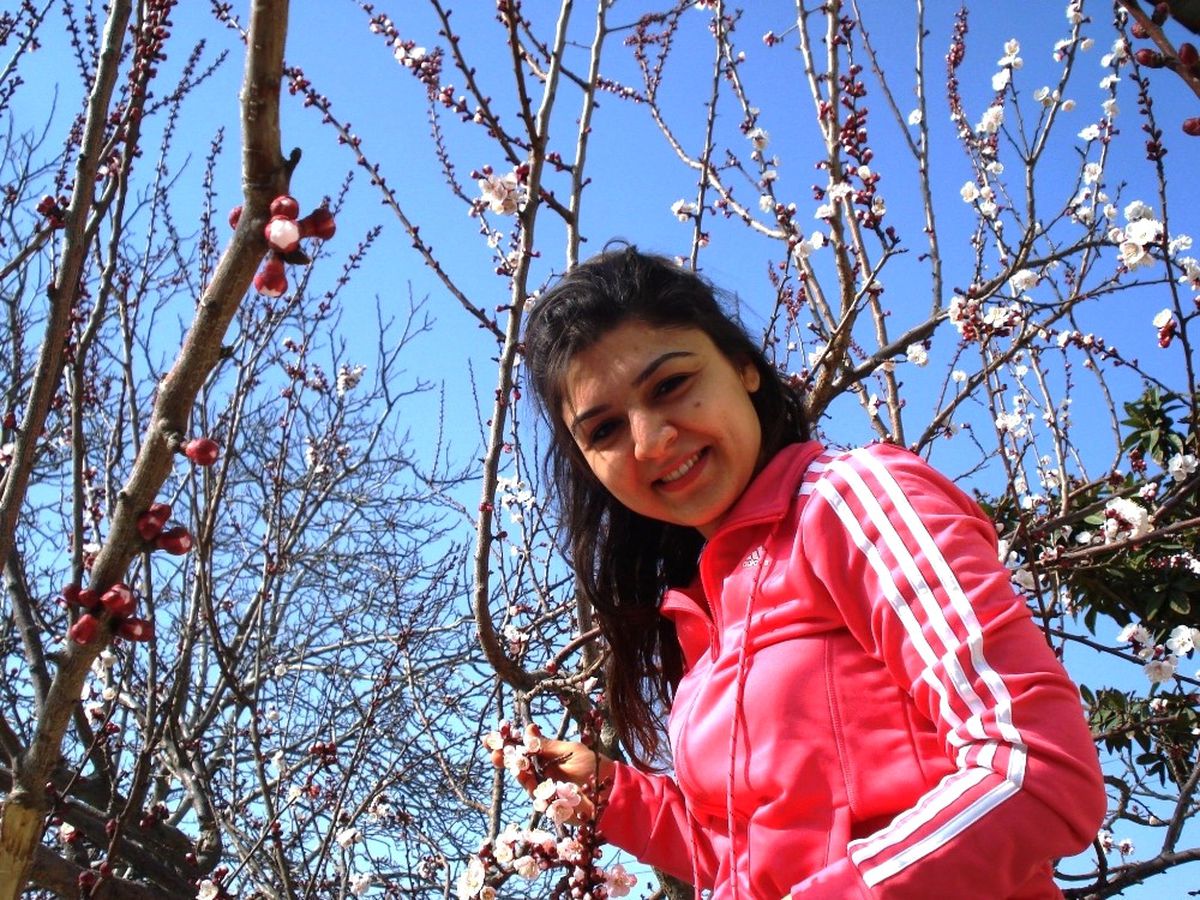 Sarıgöl\'de Meyve Ağaçları Çiçek Açtı