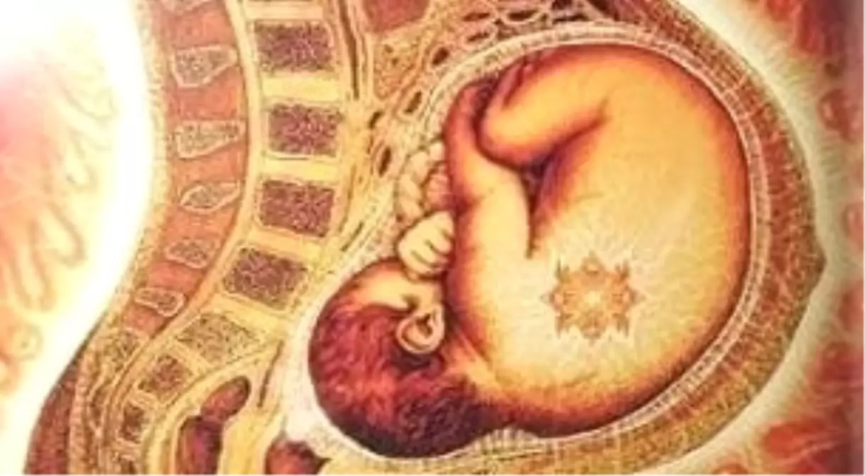 Vesta 77 ile Doğuma Hazırlık Kursu Modül 2: Dönüşüm