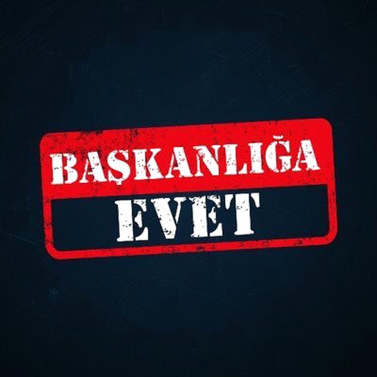 Anadolu Evet Platformu\' Genç Şubesi Kuruldu