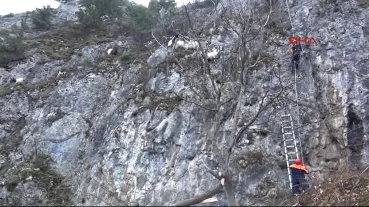 Karabük Keçiler Kayalıklarda Mahsur Kaldı