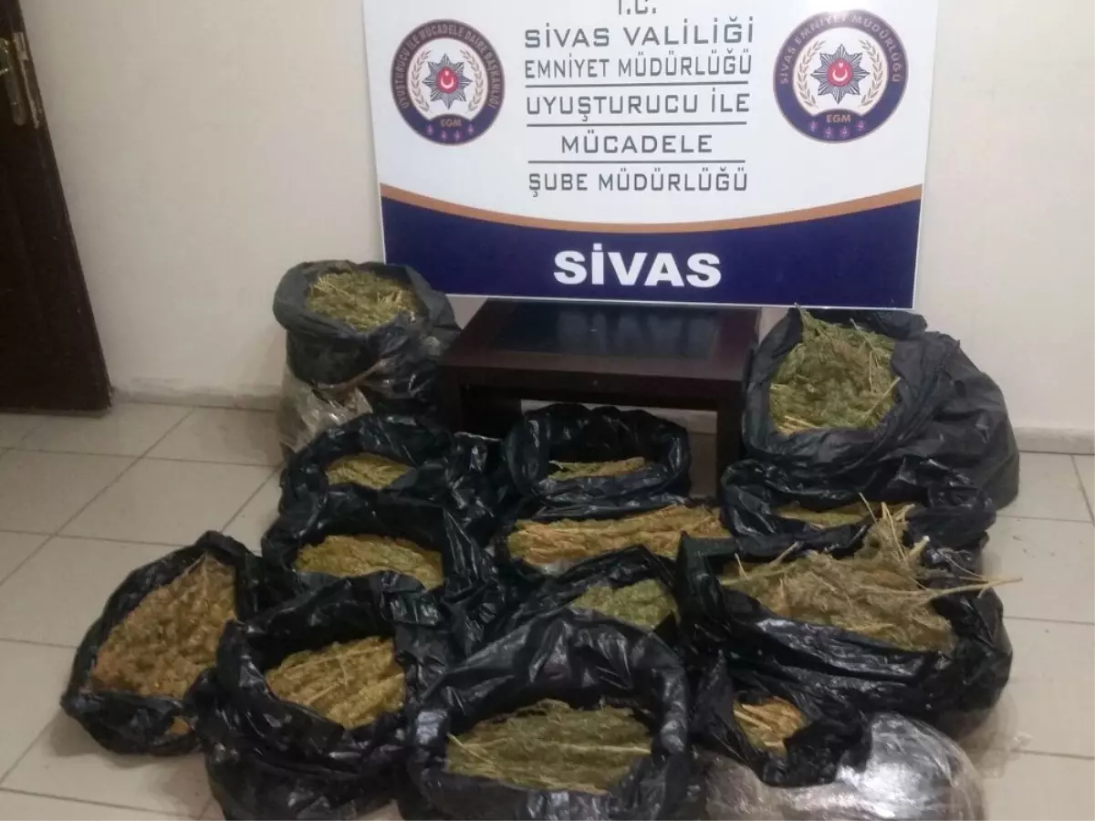 Sivas\'ta 44 Kilo Esrar Ele Geçirildi