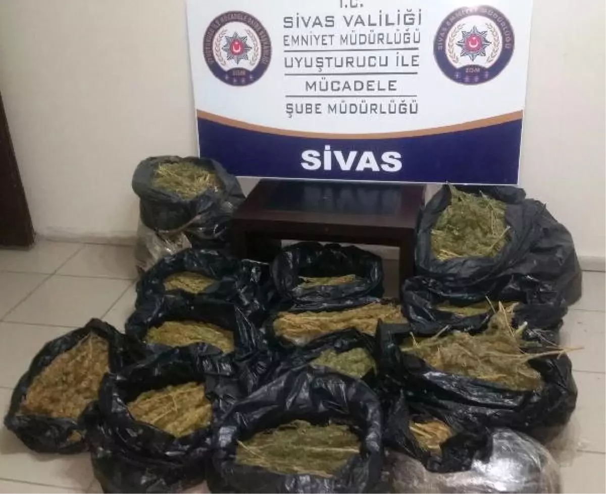 Sivas\'ta 44 Kilo Esrar Ele Geçirildi