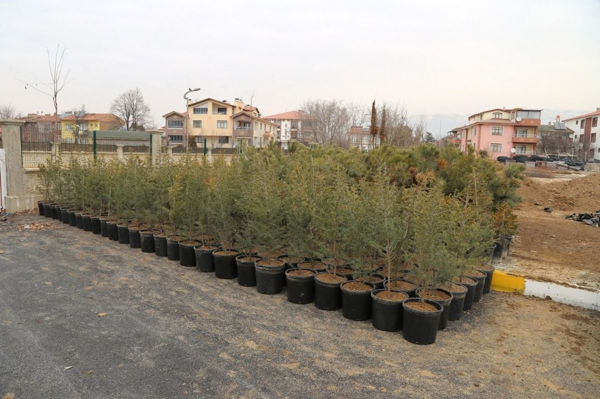 10 Bin Fidan Toprakla Buluşmayı Bekliyor