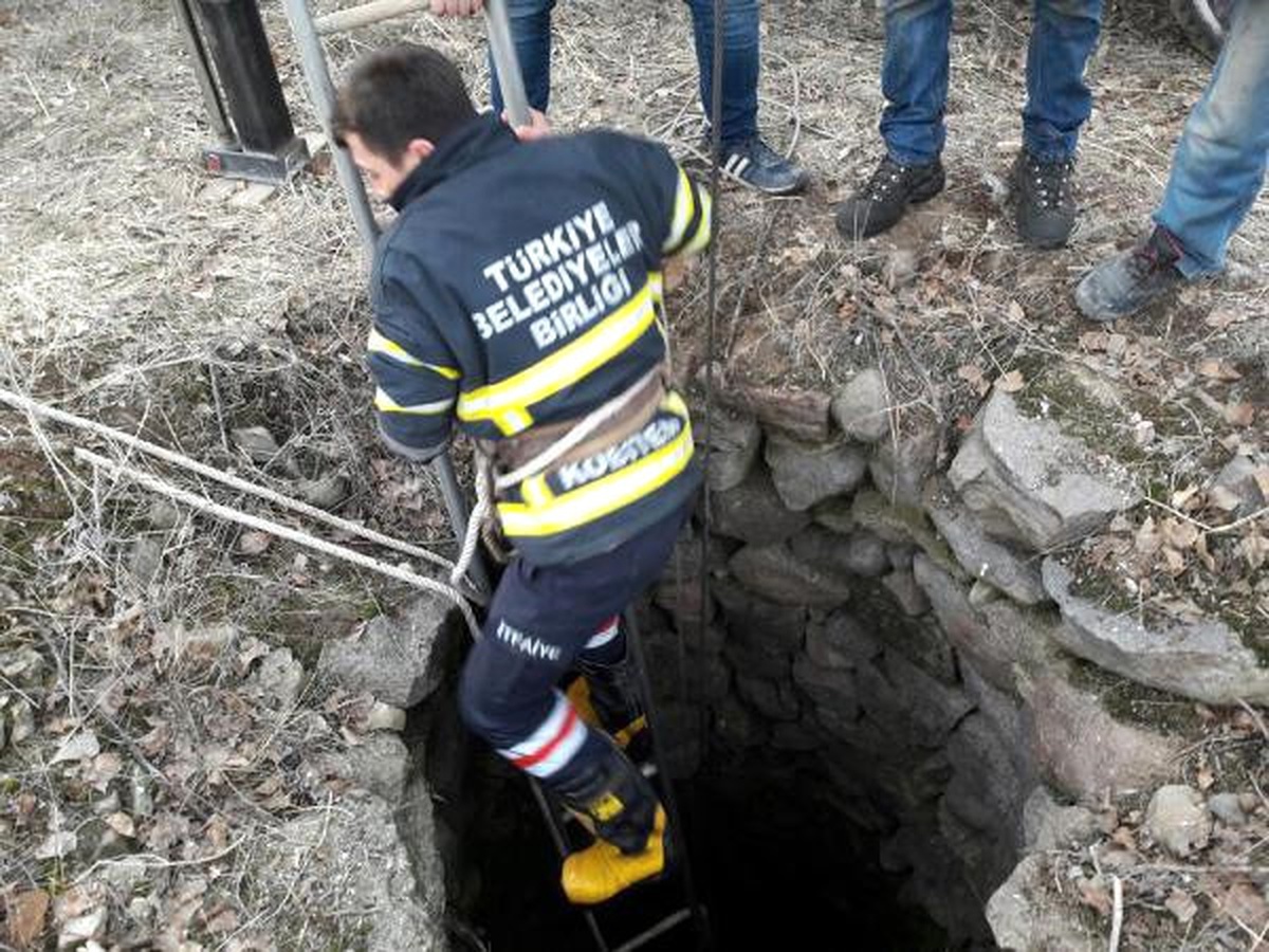 6 Metrelik Su Kuyusuna Düşen Kediyi, İtfaiye Kurtardı