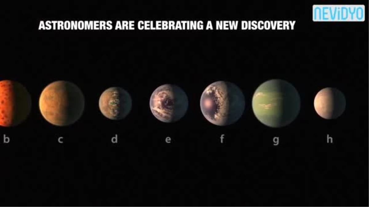7 Yeni Gezegen Keşfedildi! Exoplanet Discovery