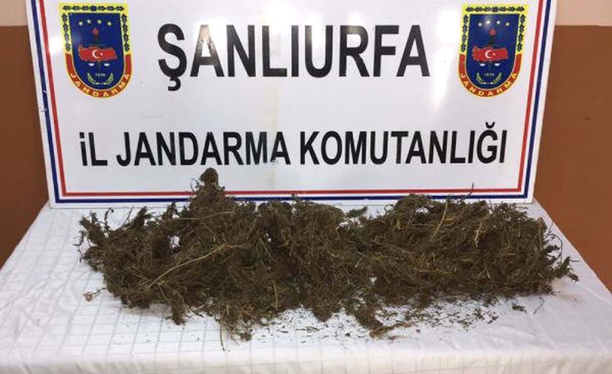 Akçakale\'de 1 Kilo Esrara 2 Gözaltı