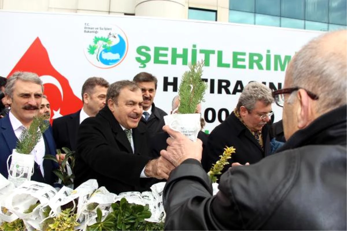 Bakan Eroğlu 10 Bin Fidan Dağıtım Etkinliğine Katıldı