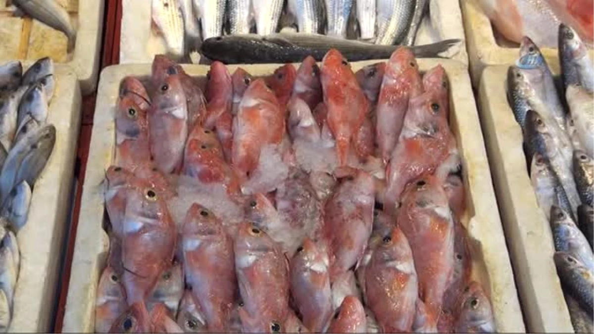 Balıklar Tezgahları Doldurdu, Fiyatlar Yarı Yarıya Düştü