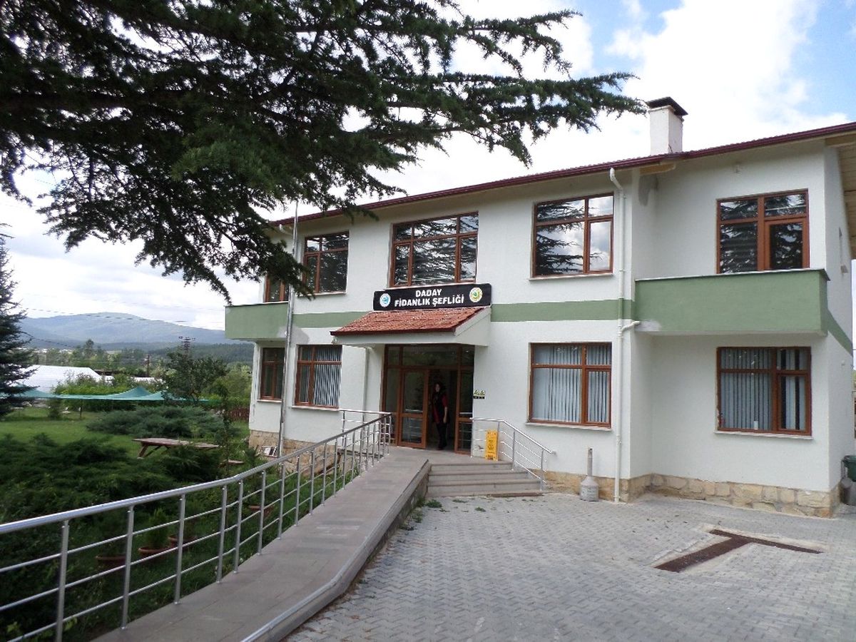 Daday\'da Fidanlık Yenileme Çalışmaları Sona Erdi
