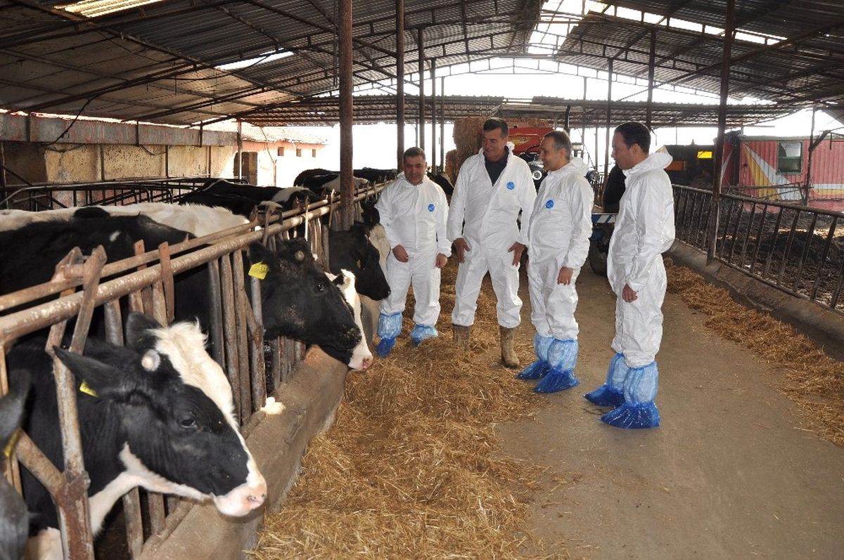 Hayvan Hastalıkları ile Mücadele Sezonu Başladı