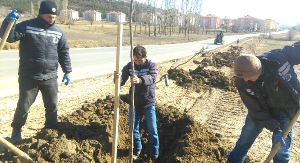 Simav Belediyesinden \'Fidan Dikimi\' Seferberliği